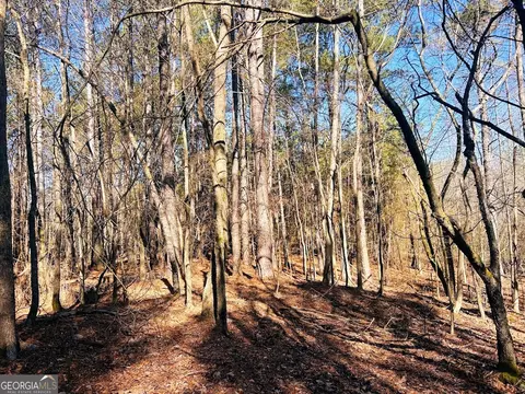 0 Hunters Creed Rd, Toccoa, GA 30577 photo 16