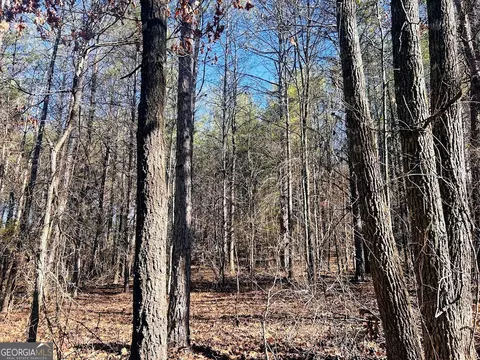 0 Hunters Creed Rd, Toccoa, GA 30577 photo 12