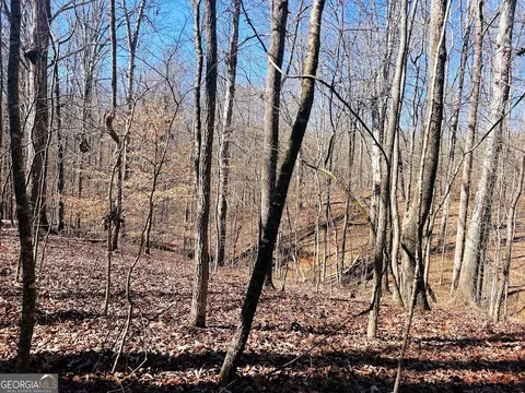 0 Hunters Creed Rd, Toccoa, GA 30577 photo 18