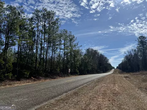 002 Dozier Rd, Ellaville, GA 31806