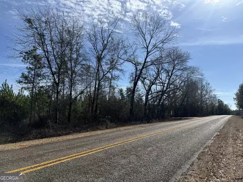 03 Dozier Rd, Ellaville, GA 31806