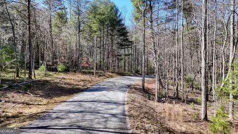 lot810 Hawks Nest, Blairsville, GA 30512