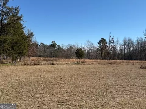 2939 Harrison Pringle Rd, Harrison, GA 31035 photo 6