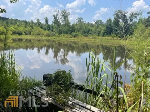 260 Powell Church Rd #50 ACRES, Talbotton, GA 31827