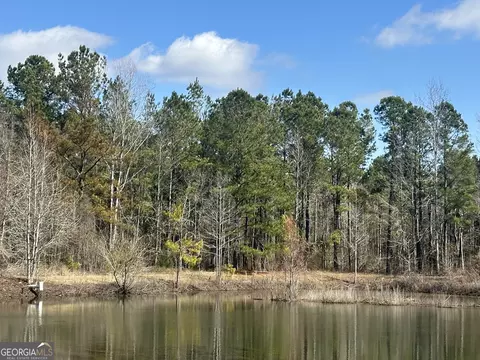 0 Newington Hwy #5.01 ACRES, Sylvania, GA 30467