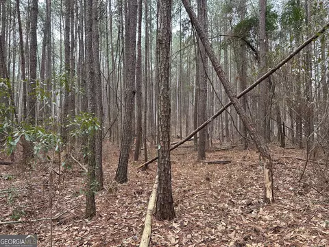 228 Pope Rd #5.37 ACRES, Roberta, GA 31078 photo 6