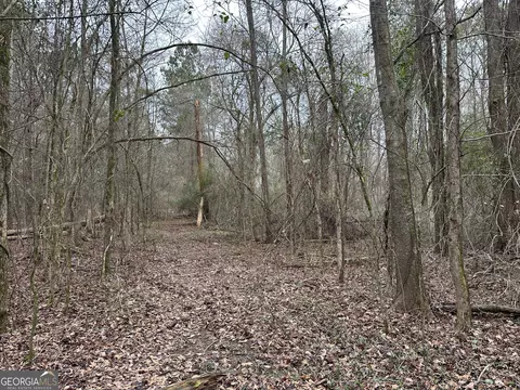 228 Pope Rd #5.37 ACRES, Roberta, GA 31078 photo 2