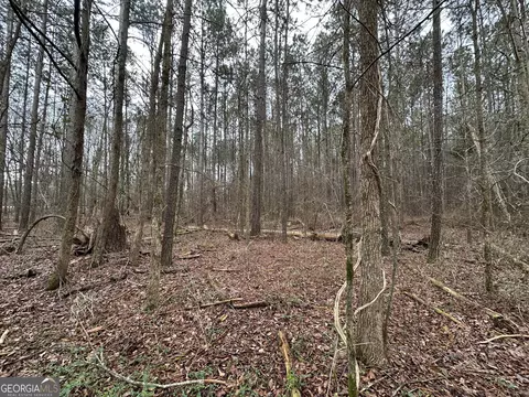228 Pope Rd #5.37 ACRES, Roberta, GA 31078 photo 5