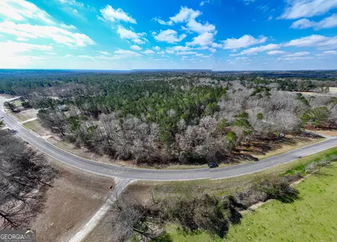 228 Pope Rd #5.37 ACRES, Roberta, GA 31078 photo 9