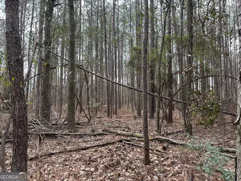 228 Pope Rd #5.37 ACRES, Roberta, GA 31078