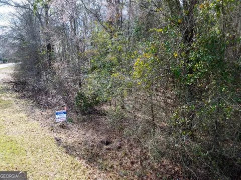 228 Pope Rd #5.37 ACRES, Roberta, GA 31078 photo 8