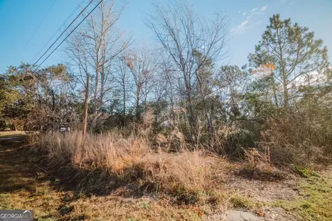 147 Beach Rd, Baxley, GA 31513 photo 8
