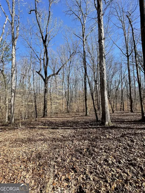 0 Cross Plains Hulett Rd, Carrollton, GA 30116