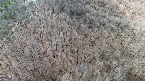 0 Clearview Dr, Talking Rock, GA 30175 photo 7