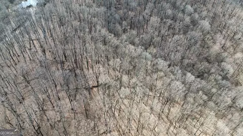 0 Clearview Dr, Talking Rock, GA 30175 photo 6