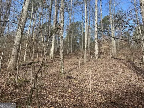 149 River Cv, Carrollton, GA 30117 photo 49