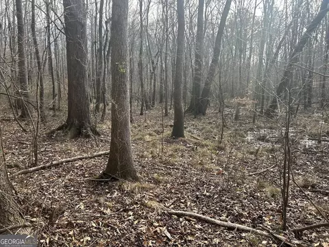 149 River Cv, Carrollton, GA 30117 photo 64