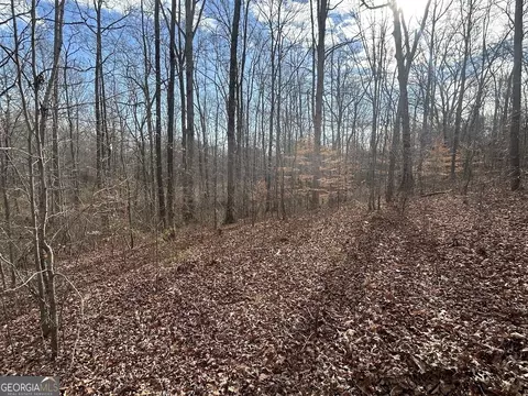 149 River Cv, Carrollton, GA 30117 photo 14