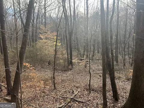 149 River Cv, Carrollton, GA 30117 photo 46