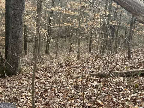 149 River Cv, Carrollton, GA 30117 photo 19