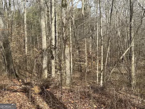 149 River Cv, Carrollton, GA 30117 photo 17