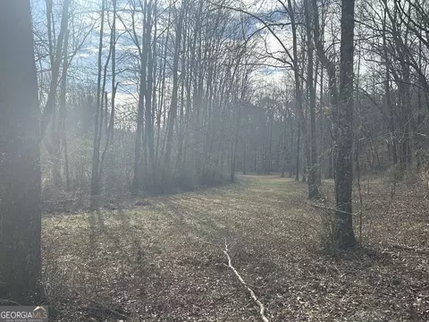 149 River Cv, Carrollton, GA 30117 photo 32