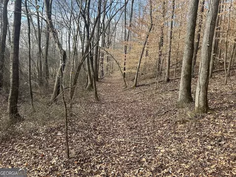 149 River Cv, Carrollton, GA 30117 photo 18