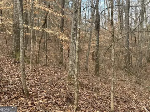 149 River Cv, Carrollton, GA 30117 photo 13