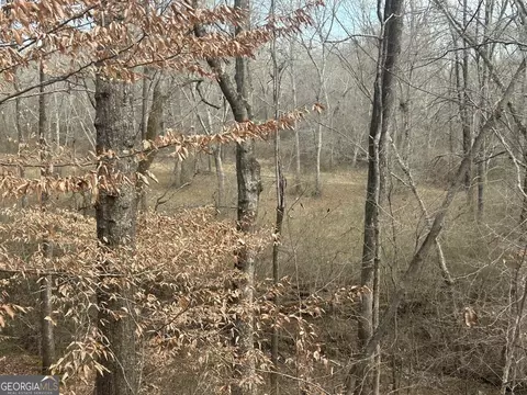 149 River Cv, Carrollton, GA 30117 photo 35