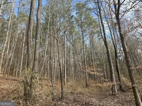 149 River Cv, Carrollton, GA 30117 photo 65