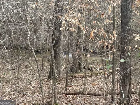 149 River Cv, Carrollton, GA 30117 photo 61