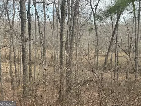 149 River Cv, Carrollton, GA 30117 photo 37