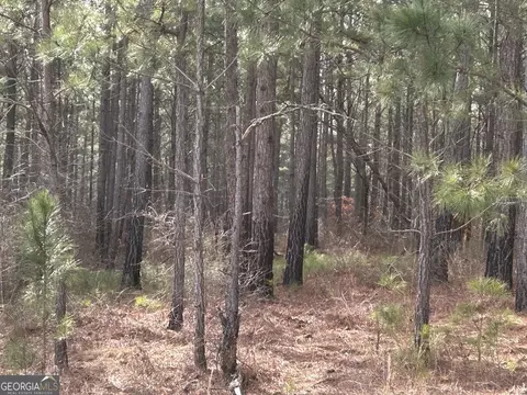 149 River Cv, Carrollton, GA 30117 photo 4