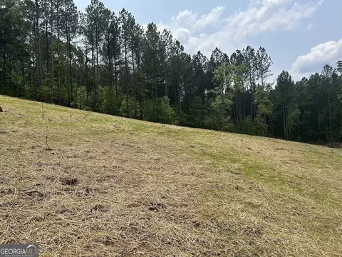 149 River Cv, Carrollton, GA 30117 photo 2