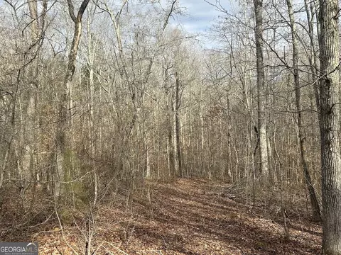 149 River Cv, Carrollton, GA 30117 photo 16