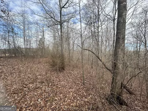 149 River Cv, Carrollton, GA 30117 photo 60