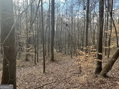 149 River Cv, Carrollton, GA 30117 photo 45