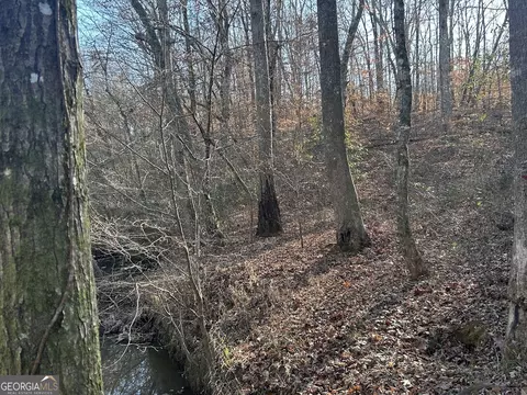 149 River Cv, Carrollton, GA 30117 photo 31