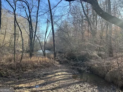 149 River Cv, Carrollton, GA 30117 photo 29