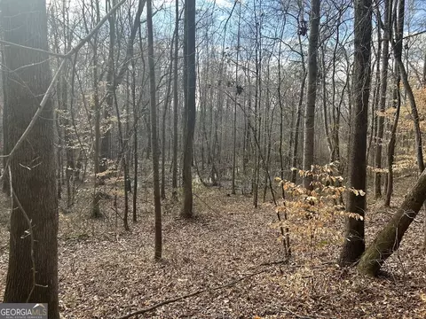 149 River Cv, Carrollton, GA 30117 photo 62