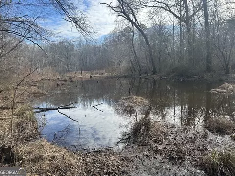 149 River Cv, Carrollton, GA 30117 photo 50