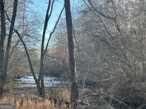 149 River Cv, Carrollton, GA 30117 photo 30