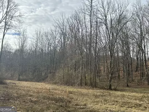 149 River Cv, Carrollton, GA 30117 photo 34