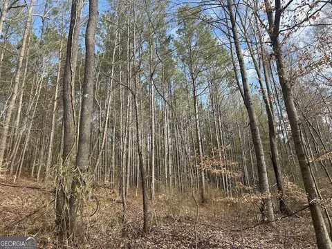 149 River Cv, Carrollton, GA 30117 photo 48