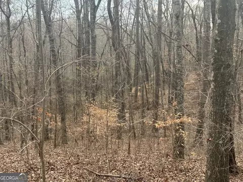 149 River Cv, Carrollton, GA 30117 photo 15