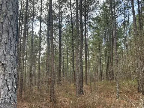 149 River Cv, Carrollton, GA 30117 photo 6