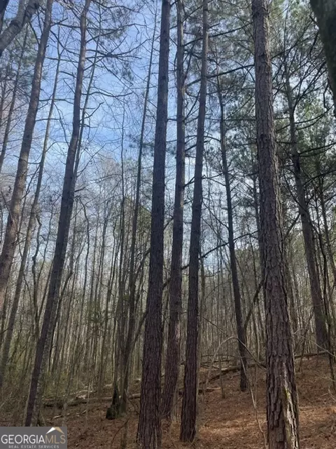 0 Willis Rd, Thomaston, GA 30286 photo 7