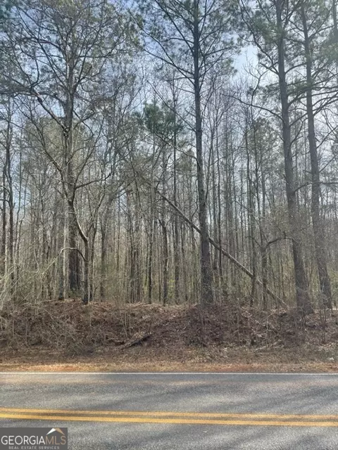 0 Willis Rd, Thomaston, GA 30286 photo 6