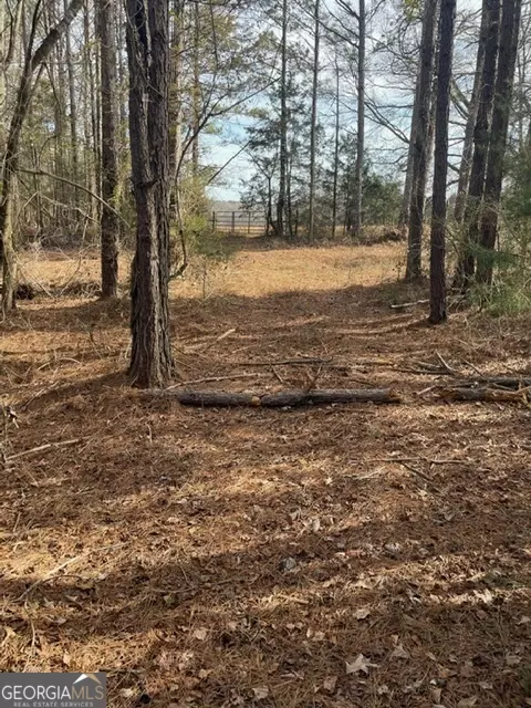 0 Willis Rd, Thomaston, GA 30286 photo 9