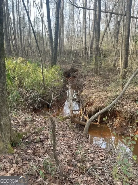 0 Willis Rd, Thomaston, GA 30286 photo 8